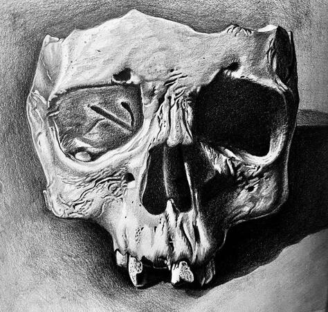 Broken Skull
