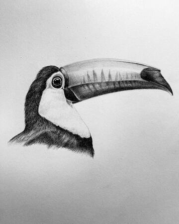 Tuocan