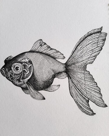 Betta Fish - Stippling